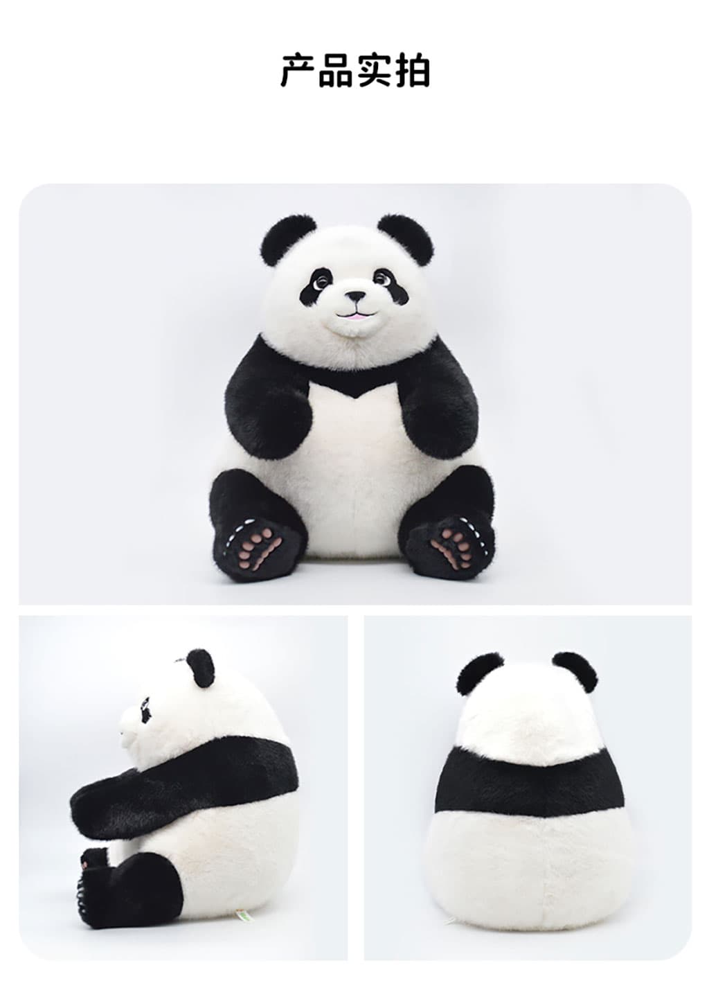 飞云熊猫安静地坐在床头