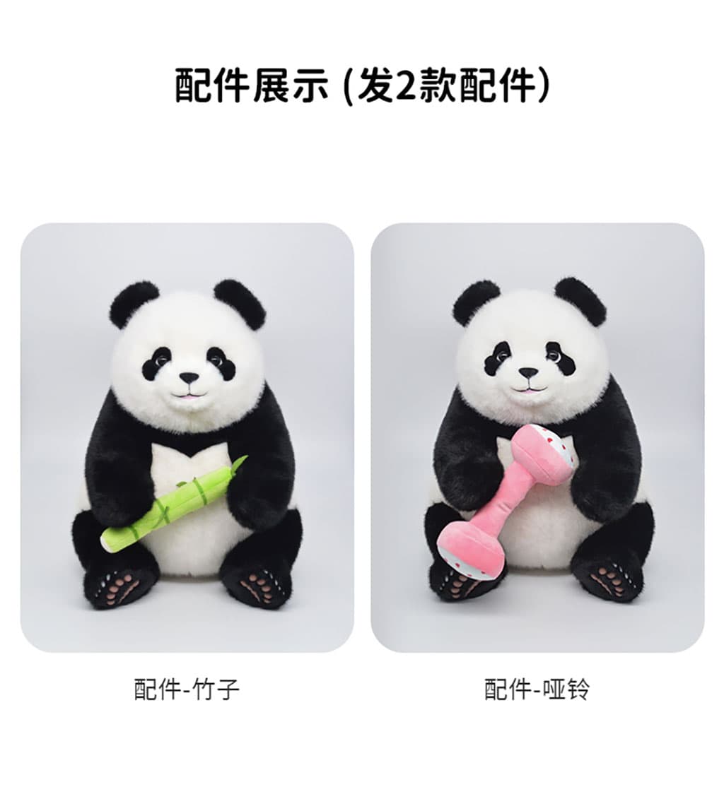 飞云熊猫的可爱面部特写