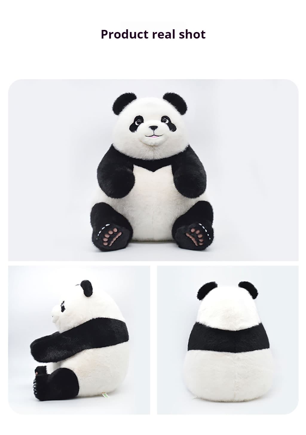 Fei Yun the panda sitting quietly on a bed