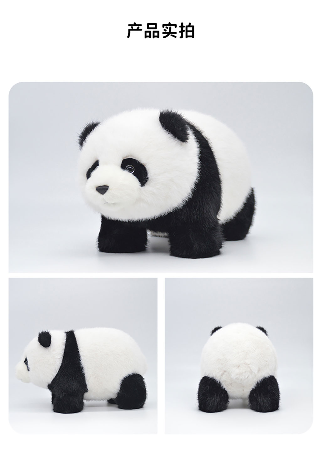 熊猫福元侧躺，身体圆润可爱