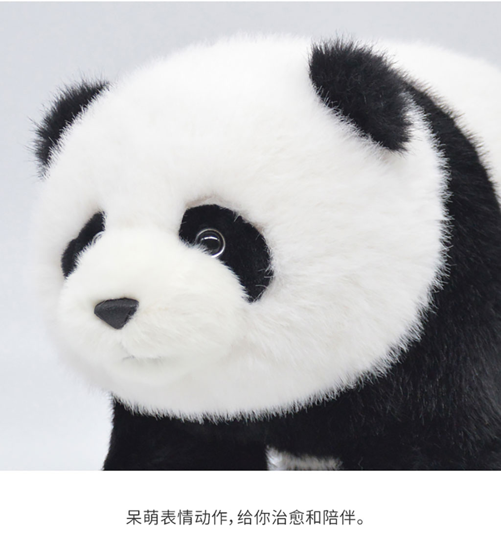 熊猫福元面部特写，绒毛质感细腻