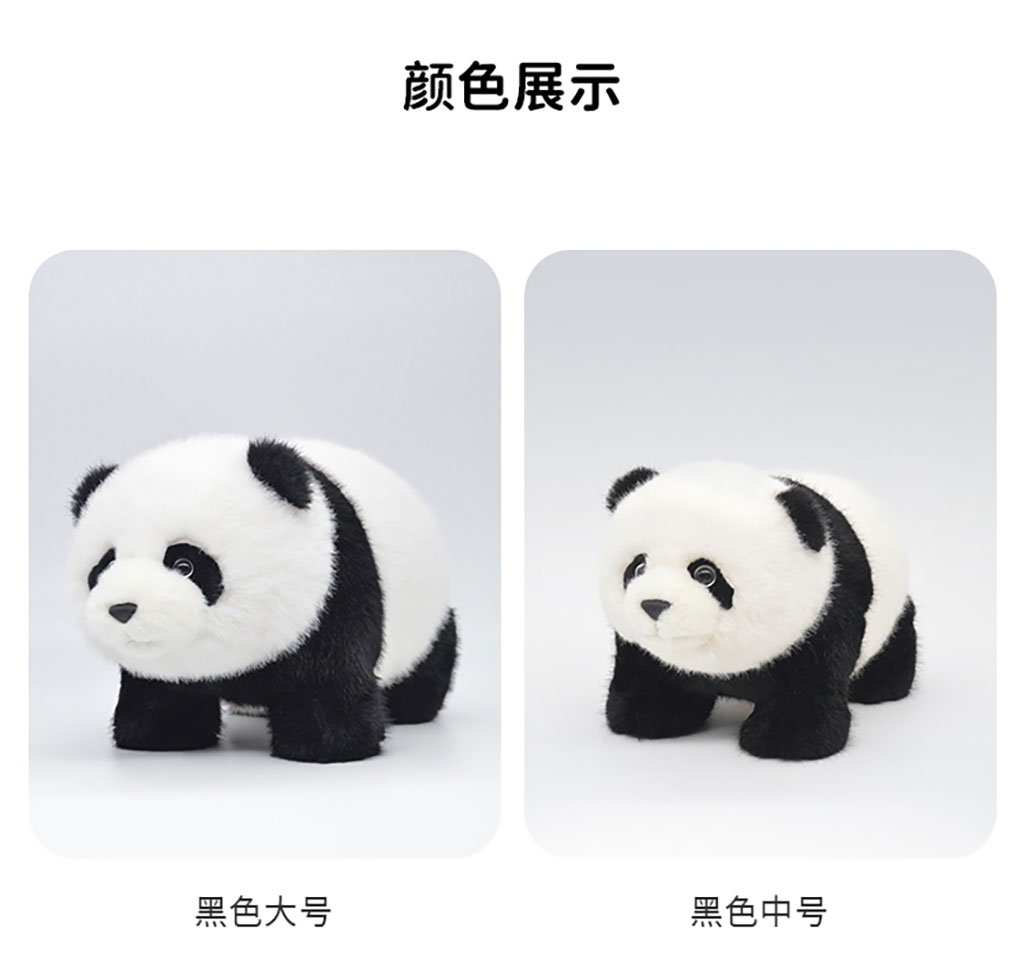 三只不同颜色的熊猫福元合影