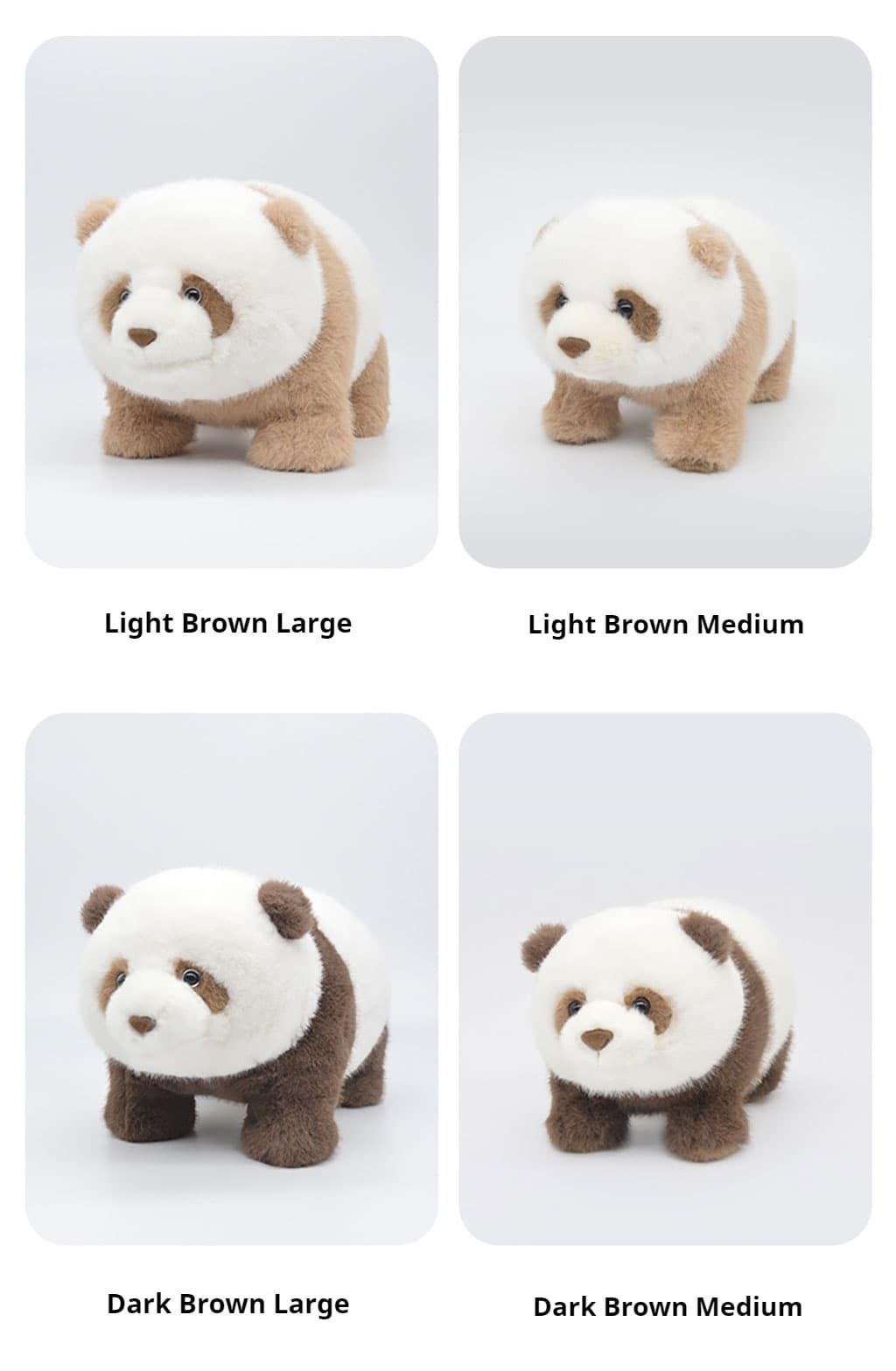 Side view of the three Fortune Pandas