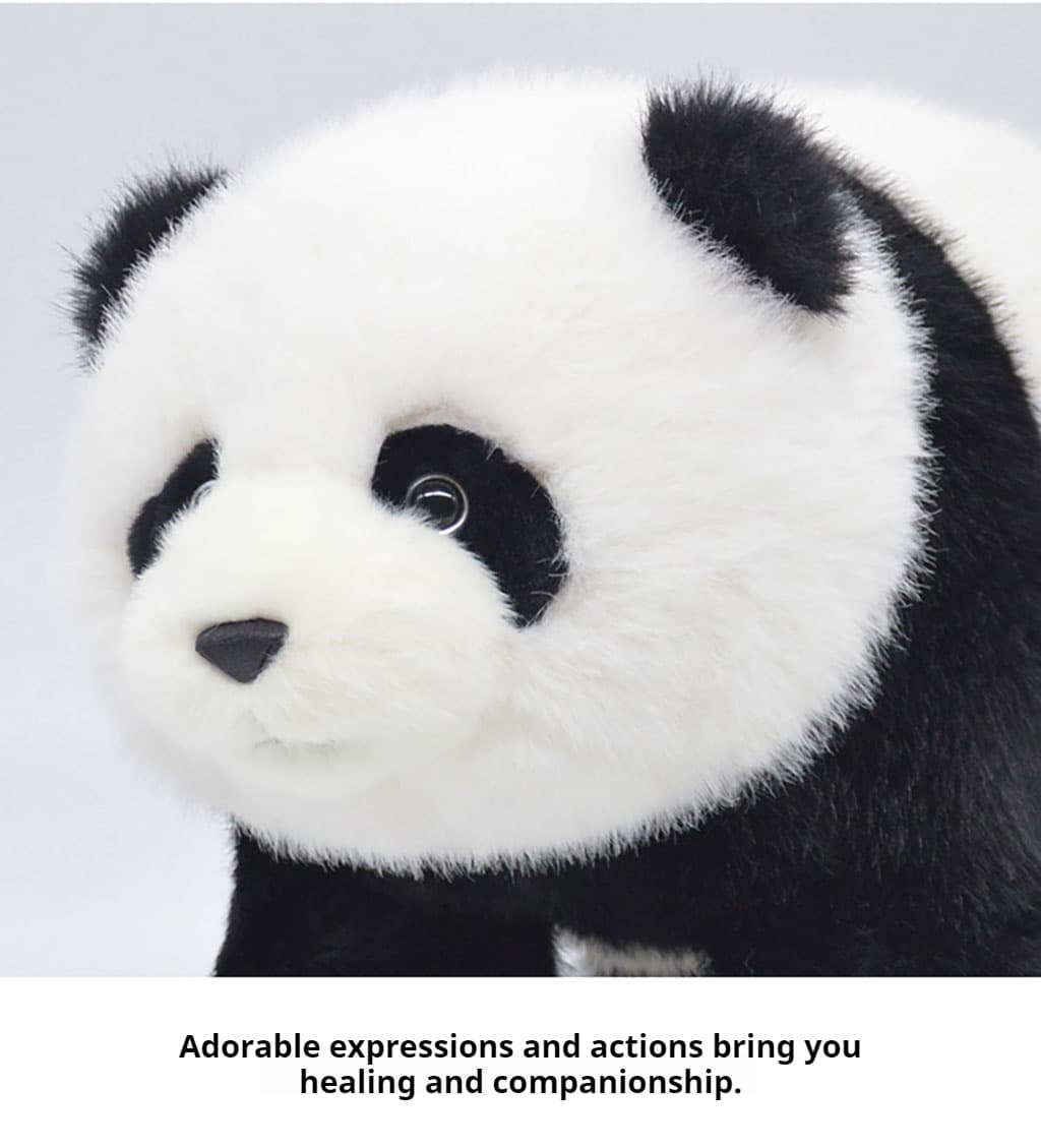 Close-up of the panda's incredibly soft fur and detailed face
