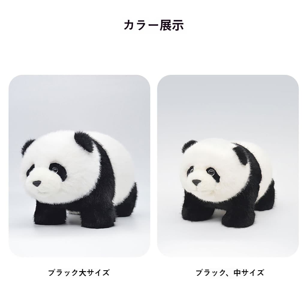 三色の開運パンダ福元ファミリーの集合写真