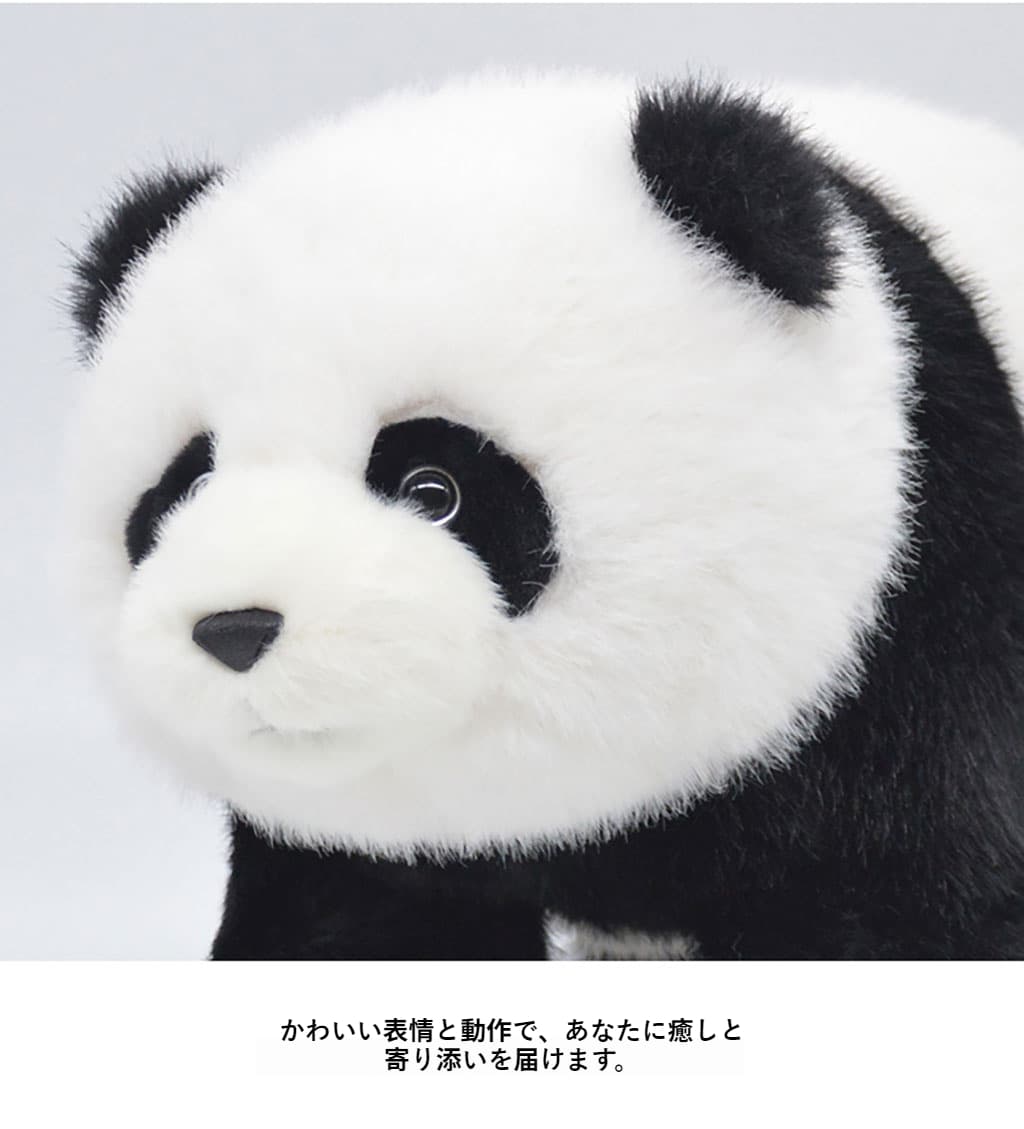 パンダの毛並みと表情のクローズアップ
