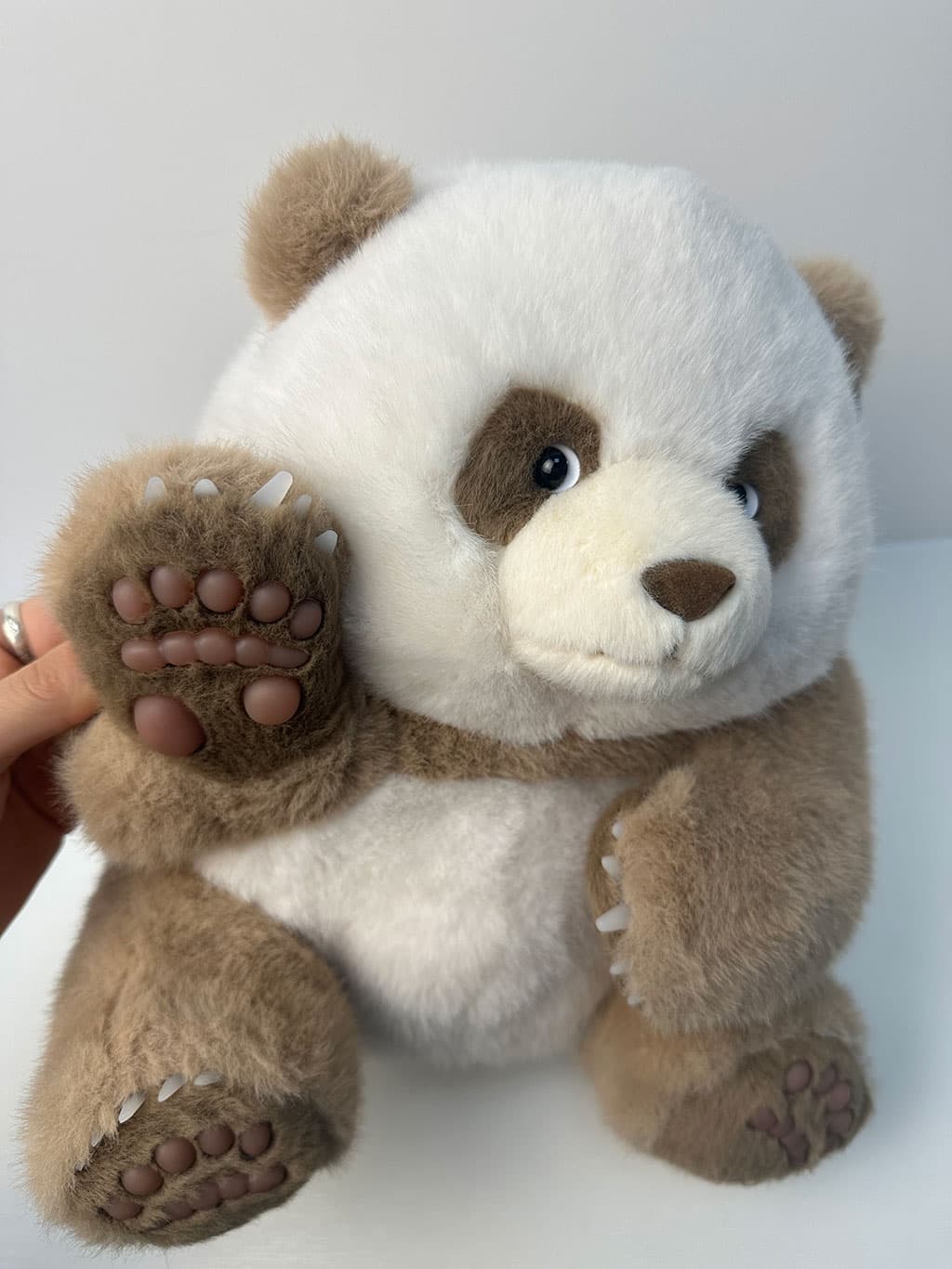 Hero image of the rare brown weighted panda